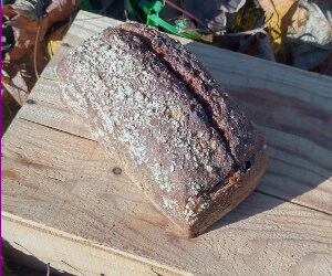 Schwarze Gerstebrot 500g bio