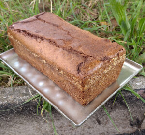 Schoggi-Cake bio