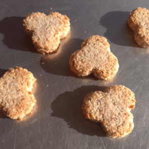 Kokos-Brötli 170g-Säckli bio