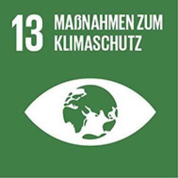Ziel13